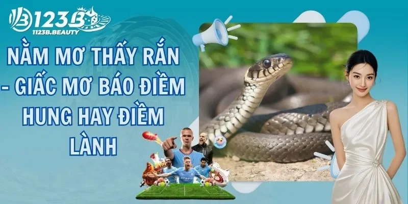 Nằm Mơ Thấy Rắn - Giấc Mơ Báo Điềm Hung Hay Điềm Lành