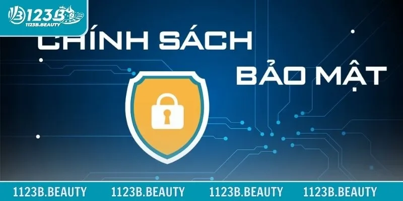 Thông tin tổng quan về chính sách bảo mật chi tiết 